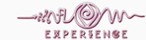 Flow Experience Logo