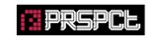 PRSPCT XL31 Logo