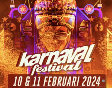 Karnaval Festival - Sonntag - Bustour